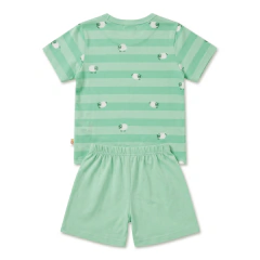CONJ. PIJAMA PULA CARNEIRINHO CHA VERDE na internet