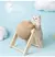 Brinquedo Interativo para Gatos - Resistente ao Desgaste - comprar online