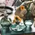 Conjunto 3 Peças Mini Vaso - Vidro