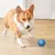 Bola inteligente para Cães e Gatos - Circuito Mega Store: Tudo para sua Casa com Estilo e Praticidade