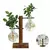 Vaso de Vidro Criativo para Plantador de Mesa C/Suporte de Madeira - comprar online