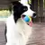 Imagem do Bolinha Interativa para Cães - Brinquedo C/Som