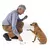 Clicker 2 em 1 - C/Apito Embutido - loja online