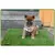 Tapete C/Grama Artificial - Solução de Treinamento para Cães - comprar online