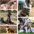 Coleira Estilo Militar para Cães - comprar online