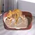 Toalete para Cães - Anti-respingo - C/Grade Removível