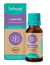 OLEO ESSENCIAL THERAPI - LAVANDA - 10 ML - comprar online