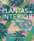 Plantas de interior: Guía completa - Plantas, cactus y suculentas