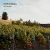 Wineries of the World - Architecture and Viniculture en internet