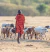 Experiencing Africa en internet