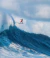 Big Wave Surfer - The Greatest Rides of Our Lives en internet