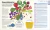 Cómo funciona la alimentación: Guía gráfica de la nutrición en internet