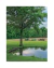 Back to the Land - comprar online