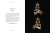 Divine Jewels - The Pursuit of Beauty - RegaláLibros
