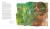 Poetic Woods: Experimental Watercolour and Collage - RegaláLibros