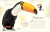 Antología de Aves Extraordinarias - RegaláLibros