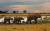 South Africa, Namibia & Botswana - RegaláLibros