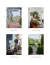Country House Living en internet
