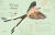 Antología de Aves Extraordinarias - tienda online