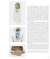 Sneakers x Culture - Collab - tienda online