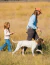 Training Bird Dogs with Ronnie Smith Kennels - Proven Techniques and an Upland Tradition - tienda online