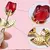Imagem do Mini Rosa de Cristal | Presente Decorativo para Quarto, Escritório ou Casamento