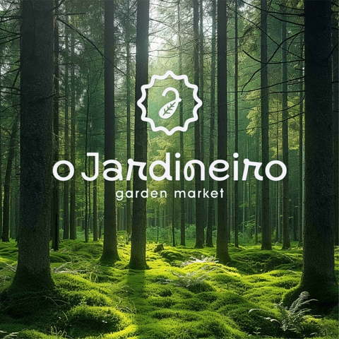 Banner da categoria PLANTAS EM GERAL