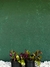 Perequito Roxo