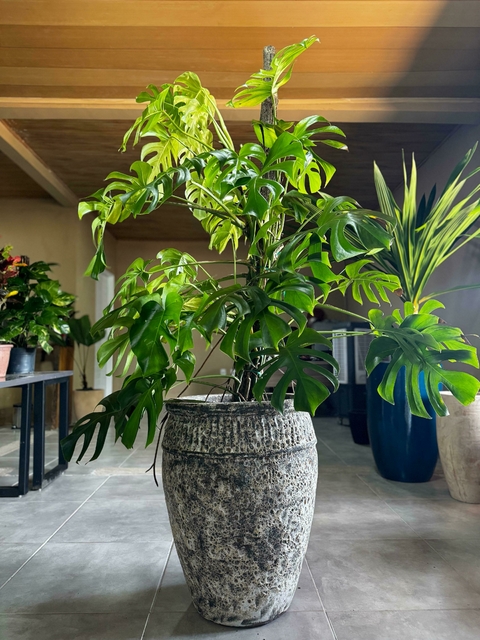 Vaso Ha Long Vulcânico Vietnamita