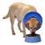Collar Isabelino Inflable Talle Small Perros Gatos Pequeños - Danidrop