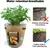 Sacos de Cultivo de Plantas de Feltro - loja online
