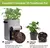 Imagem do Sacos de Cultivo de Plantas de Feltro