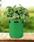 Sacos de Cultivo de Plantas de Feltro na internet