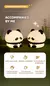 Luminária Panda LED Night USB - loja online