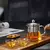 Chaleira de Vidro com Infusor de Aço Inox na internet