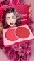 Paleta de blush na internet
