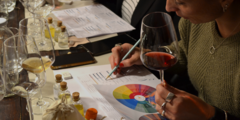 Banner de la categoría Vino la luz