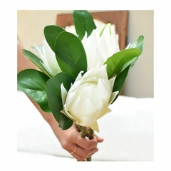 Kala-Vara Magnolia Blanca