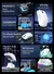 Mouse sem fio Attack Shark X11, mouse tri-mode Bluetooth/2.4G/com fio, mouse par na internet