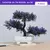 Bonsai Artificial Pequena Árvore, Plantas De Pote De Simulação, Flores Falsas na internet
