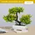 Imagem do Bonsai Artificial Pequena Árvore, Plantas De Pote De Simulação, Flores Falsas