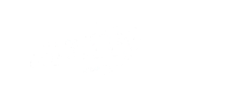 Aluiza