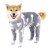 Pijama de inverno para cachorro