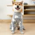 Pijama de inverno para cachorro - Universo Pet