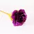 Yo cho 24k banhado a ouro rosa flor artificial 24k folha rosa galáxia caixa ani na internet