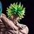 Imagem do Figura Anime Broli Vs Goku, Estatueta Dragon Ball, Estátua em PVC, Boneca Modelo,Decoração de Mesa 28Cm