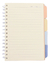 Caderno Morandi B5 4 Matérias 110fls
