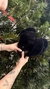 Imagem do CHINELO PELUCIADO PRETO