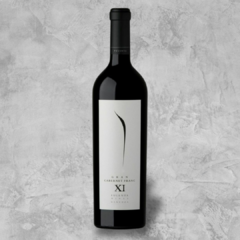 Pulenta XI Gran Cab Franc - comprar online