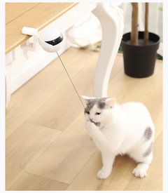 Yoyo Para Gatos en internet